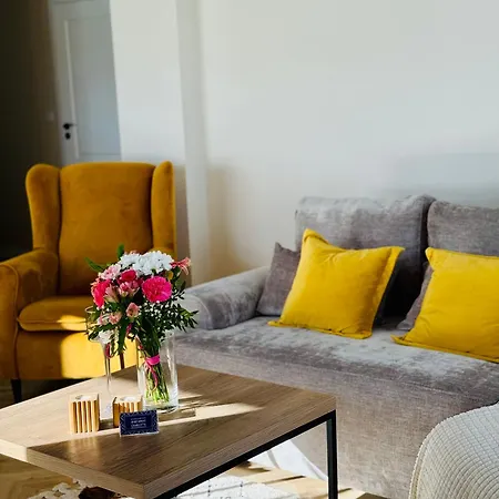 Apartment Charlotte Hutnicza Parking Free *